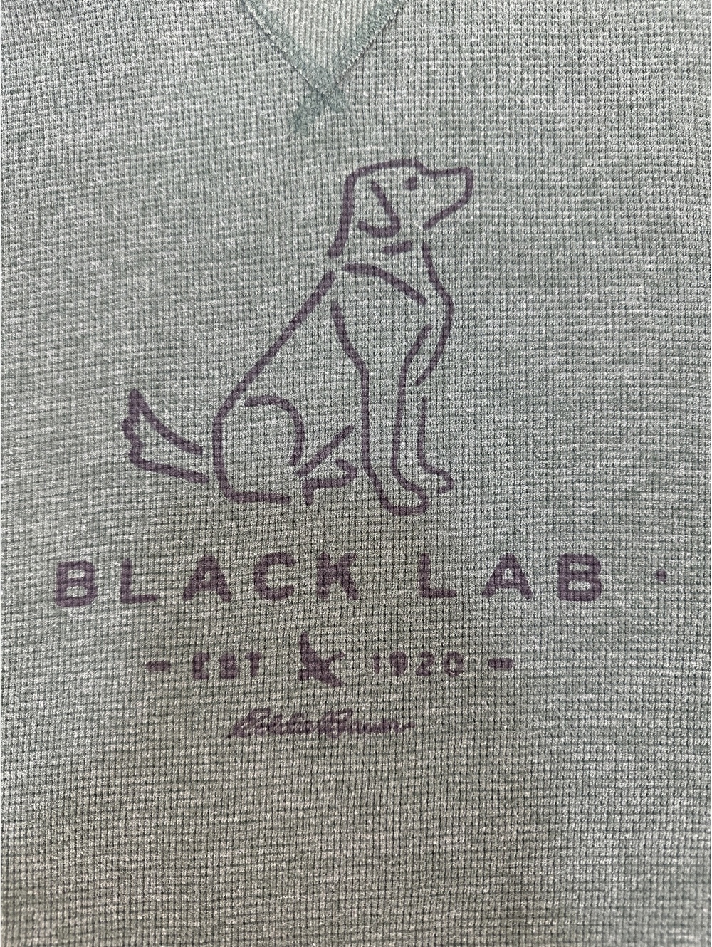 Eddie Bauer Men's Sweatshirt Black Lab Graphic 2XL Green Regular Fit Cotton-Poly